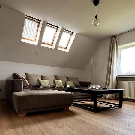 Apartmán Gemuetliche In Rheinnaehe